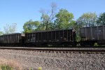 NS 10090